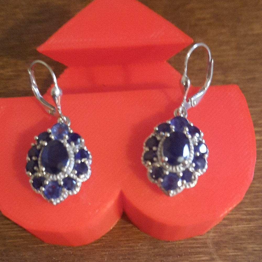 Stunning Silver and Blue Gemstone Earrings